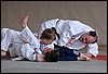 mwaDSC_2063.jpg